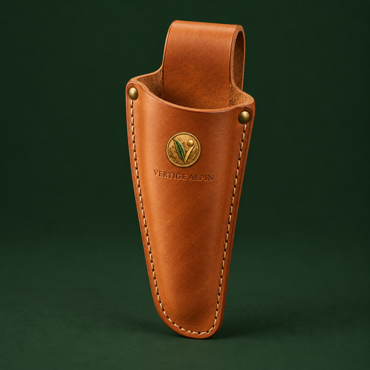 Leather secateur holster — illustrative visual